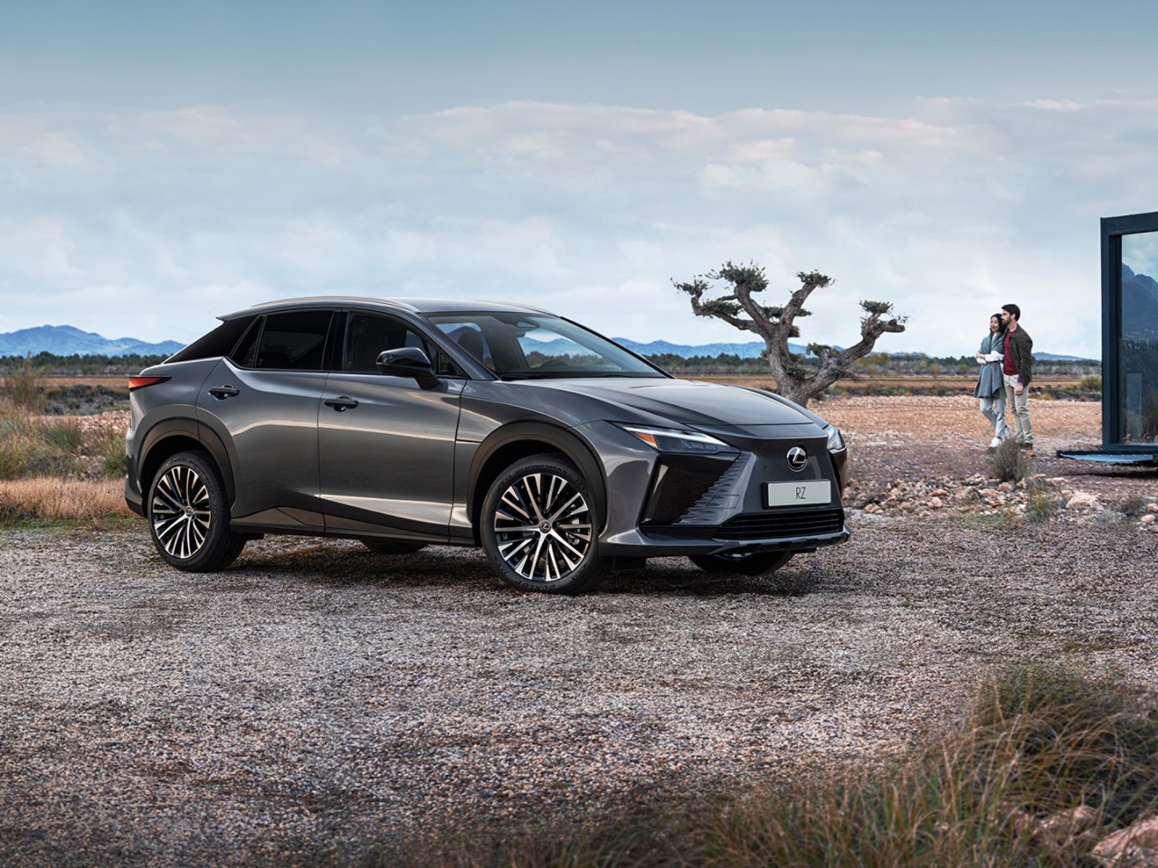 All electric Lexus UX 300e