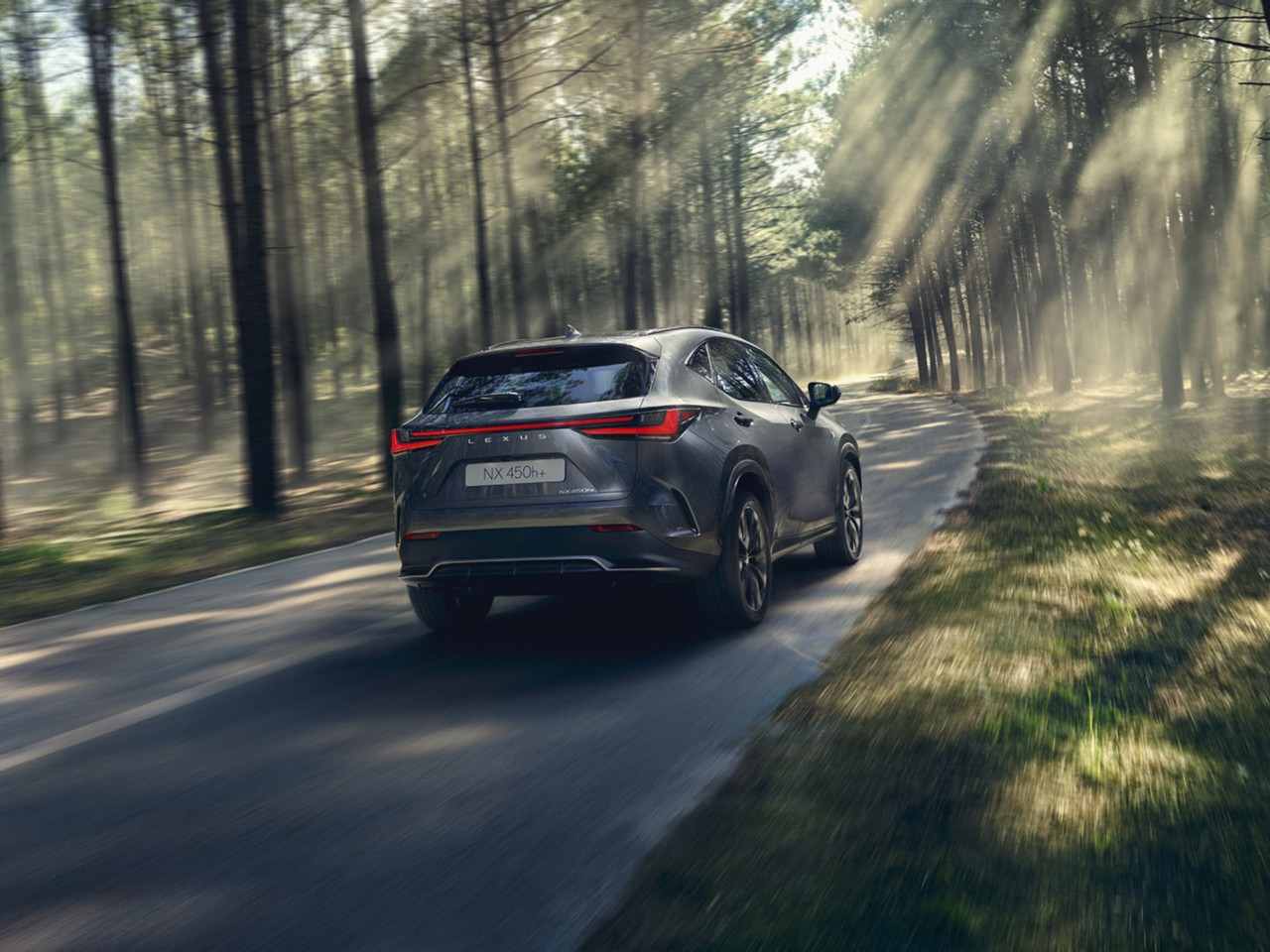 A Lexus NX 450h+ driving through a woodland location 